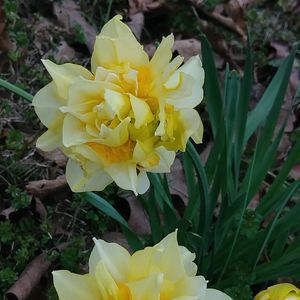 Meet your Posher, Kris